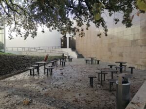 biblioteca IMG 20231208 111134