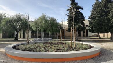 biblioteca IMG 20231208 111425