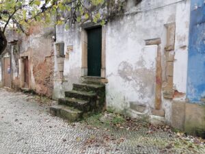 estaus IMG 20231203 154818
