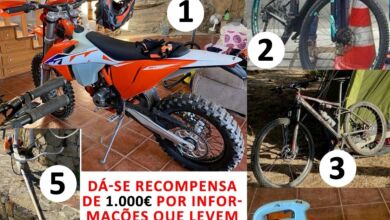 apelo 7050054965091521 7468248749743382677 n Copia