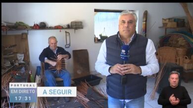 cesteiro