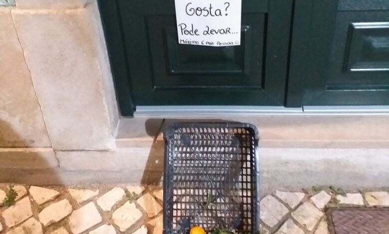 Oferta de fruta numa rua da cidade fruta 20240127 183441 2