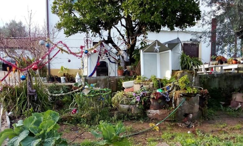Roubaram figuras de presépio no Freixo presepio 8718287378 2963370273093050892 n