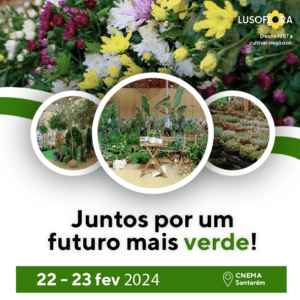22 2 LUSOFLORA600X600