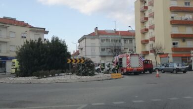 IMG 20240206 170230