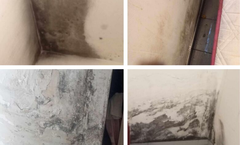 Casas pré-fabricadas atribuídas a famílias ciganas têm problemas bairro 3