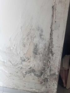 bairro cale 07346790 3678570733069813829 n