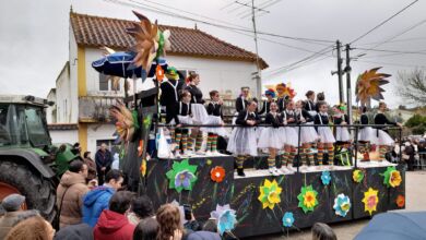 carnaval linhaceira 01480475417 3966888177975096915 n