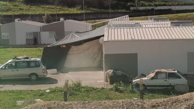 ciganos bairro cale IMG 20240204 131415
