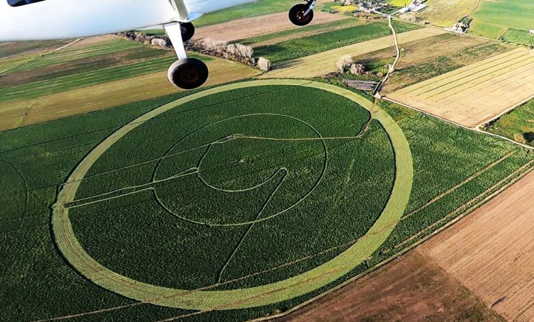 Piloto descobre desenho misterioso numa plantação em Santarém misterio 5831553492 3448741397257731320 n
