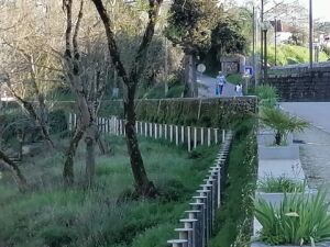 passadico IMG 20240218 161850