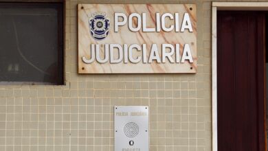 pj 2874155439 3246087638446835266 n