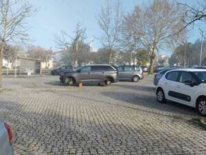 abrantes 598816 3702114416121492956 n