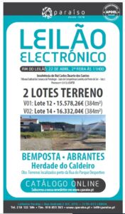 leilao paraiso