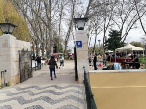 mercado Tomar alternativo IMG 20240317 093033