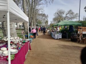 mercado Tomar alternativo IMG 20240317 093424