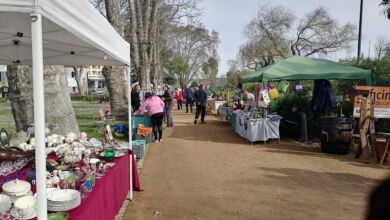 mercado Tomar alternativo IMG 20240317 093424