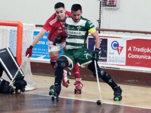 sp. tomar IMG 8082 copiar