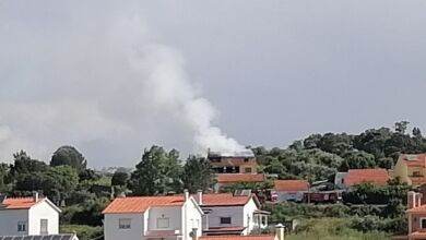 IMG 20240502 102103