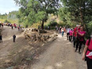 caminhada IMG 20240512 100445