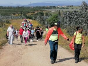 caminhada IMG 20240512 101923 1