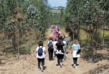 Casa do Benfica em Tomar promove caminhada solidária caminhada IMG 20240512 104355