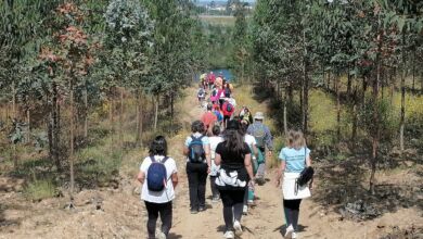 Casa do Benfica em Tomar promove caminhada solidária caminhada IMG 20240512 104355