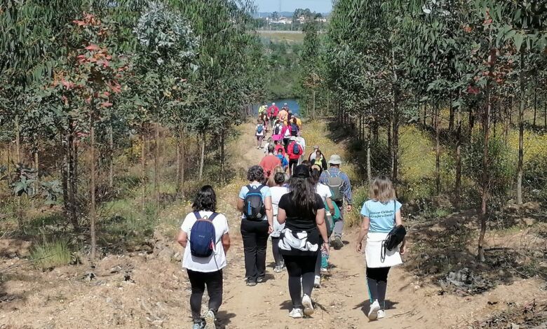 caminhada IMG 20240512 104355