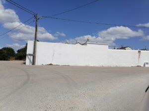 cedros casais IMG 20240522 152436