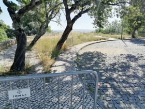 ervas IMG 20240528 091958