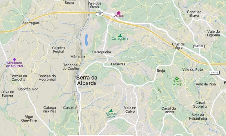 Sonae Arauco vai gerir 42 hectares de floresta da câmara durante 35 anos floresta sonae