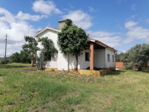 porto de cavaleiros IMG 20240515 155338