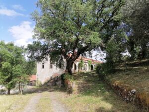 porto de cavaleiros IMG 20240515 160212