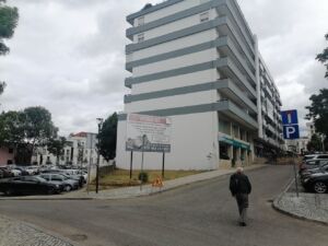 terreno ervas IMG 20240516 115658