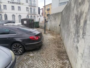 terreno ervas IMG 20240516 115840