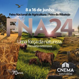 8 6 AF FNA24 600x600px 1