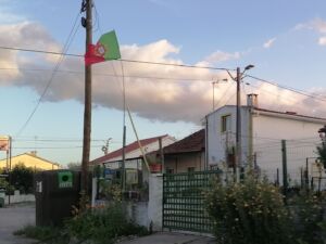 IMG 20240626 202835