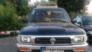 apelo 4896184 5559092889647738133 n