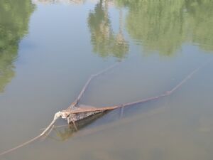 barco IMG 20240604 095307