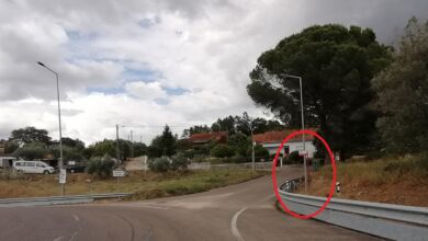 carregueiros tut IMG 20240618 152346