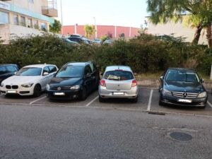 estac x 61828693 7655181041834681180 n