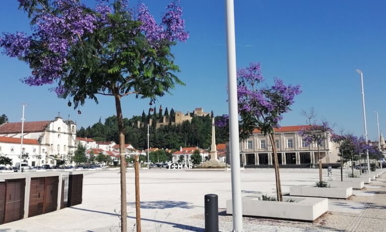Cinema pela primeira vez na Várzea Grande jacarandas varzea grande IMG 20240604 092019