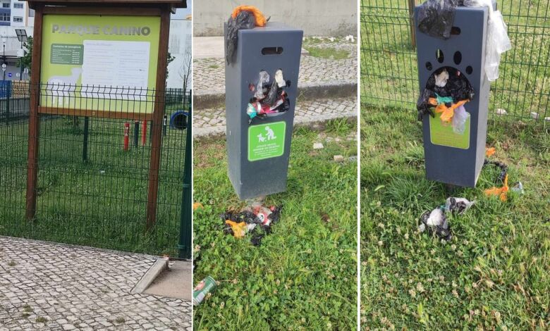 Lixo acumula-se no parque canino lixo 890