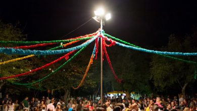 Festa
