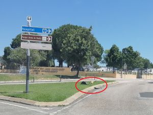 IMG 20240704 122003