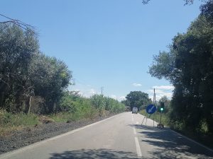 IMG 20240710 152528