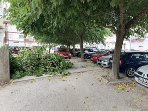 IMG 20240725 101116