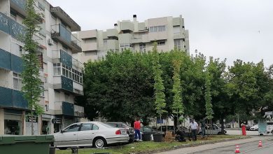 IMG 20240730 104405