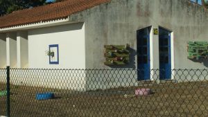 animais IMG 20240722 082327