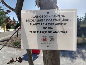 arvore IMG 20240703 182159